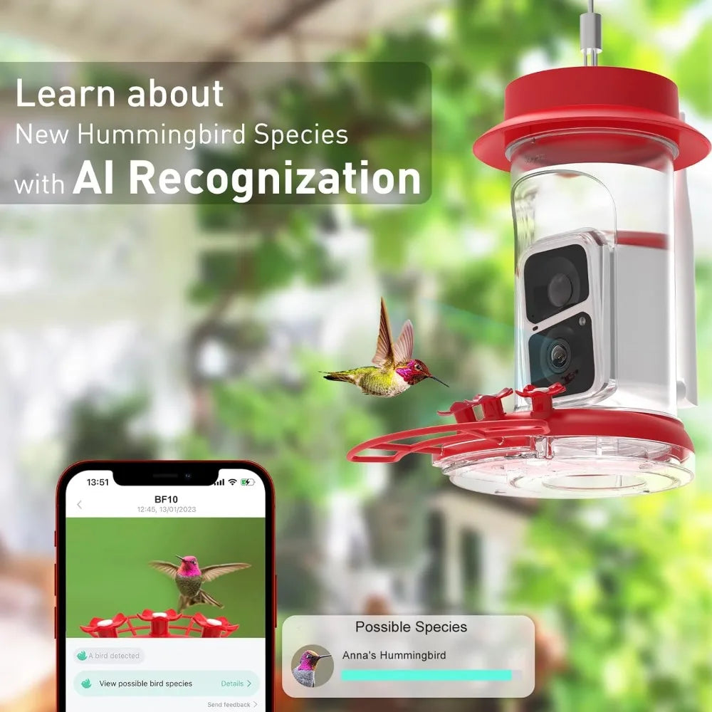 Hummingbird Feeder with AI Identify Bird Species Camera,