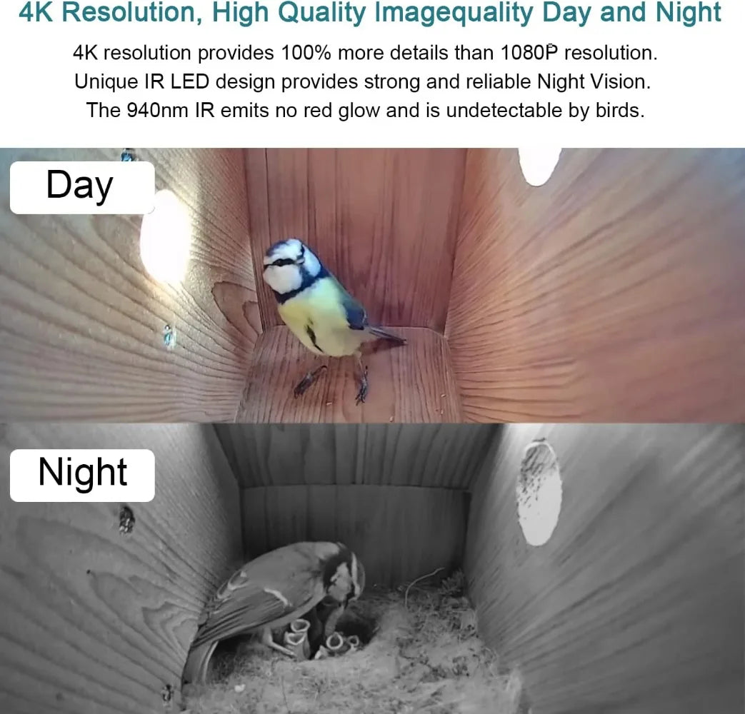 WiFi Bird Box Easy Installation Camera 4K HD WLAN Live Video to Phone.