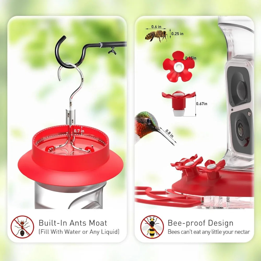 Hummingbird Feeder with AI Identify Bird Species Camera,