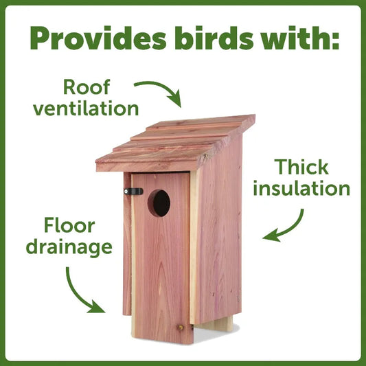 Red Cedar Bluebird Wild Bird House, 2 Pack 13'' Tail